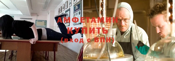гидра Алексеевка