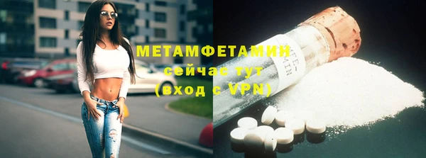 гидра Алексеевка