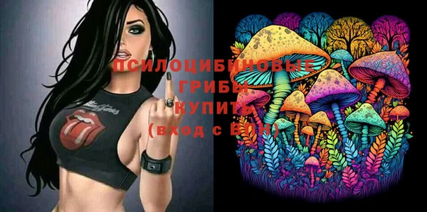дживик Алексин