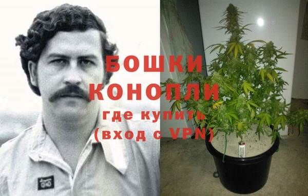 гидра Алексеевка